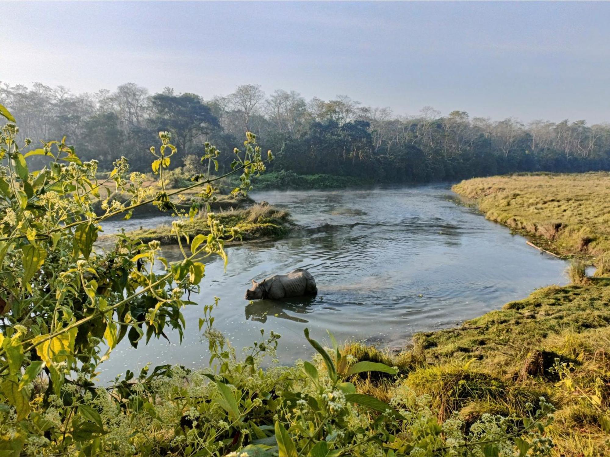 Hotel Tharu Garden And Beer Bar Chitwan Εξωτερικό φωτογραφία