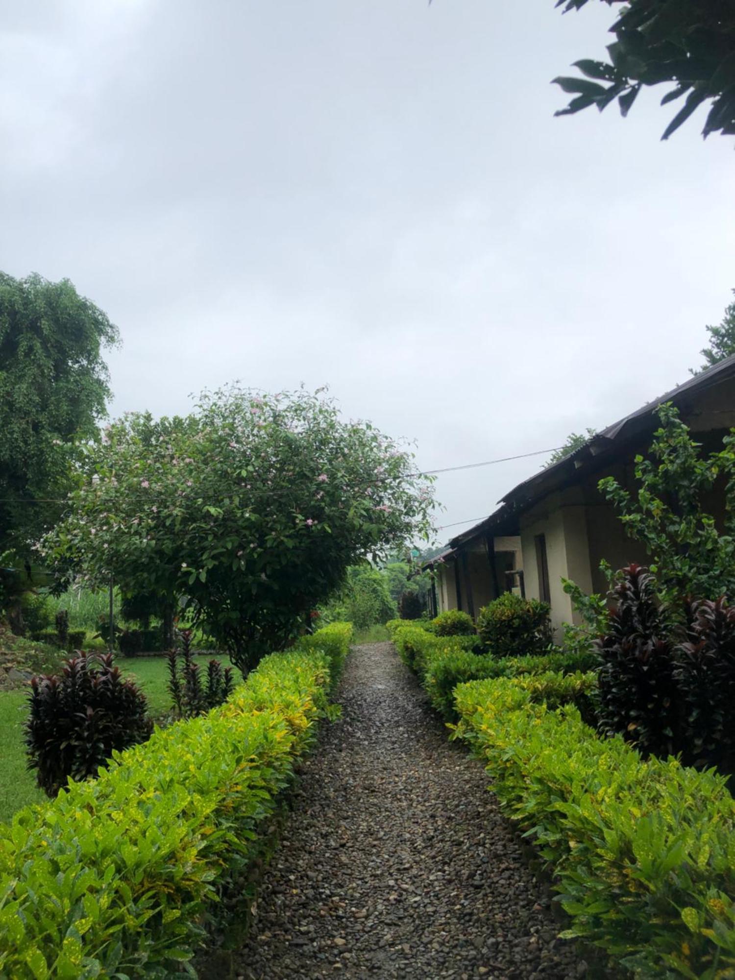 Hotel Tharu Garden And Beer Bar Chitwan Εξωτερικό φωτογραφία