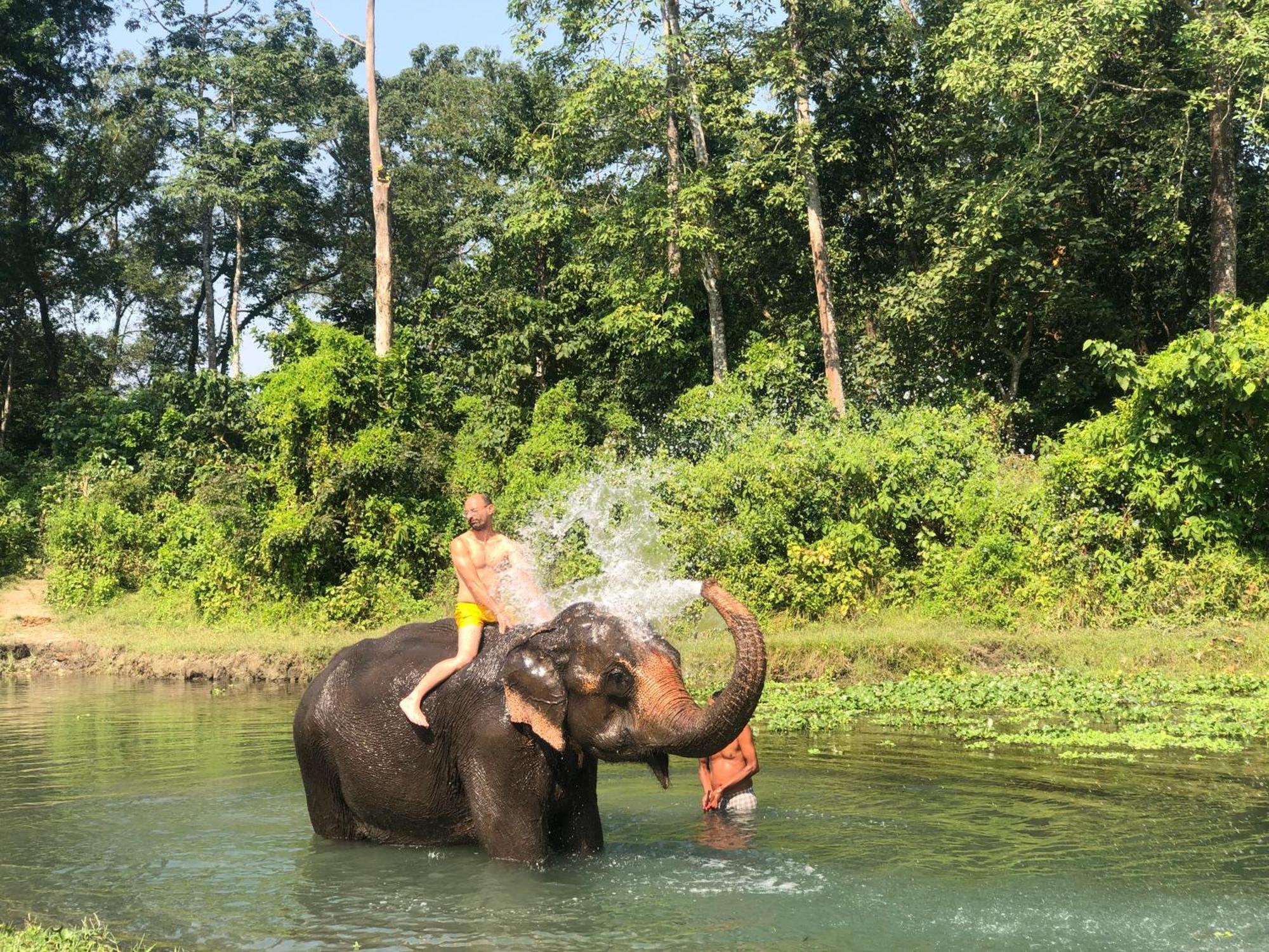 Hotel Tharu Garden And Beer Bar Chitwan Εξωτερικό φωτογραφία